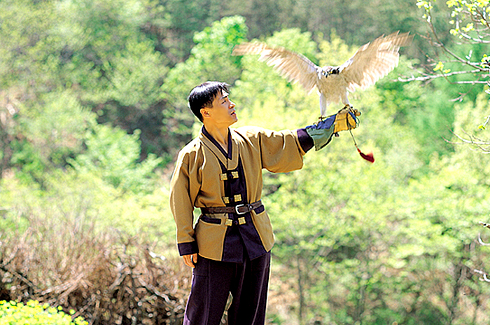 Falconry, Yaşayan Bir İnsan Mirası (2010)